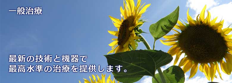 img_maingeneral
